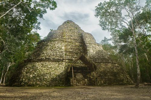 Phát hiện thành phố Maya cổ đại chưa từng được biết đến trong rừng rậm Mexico