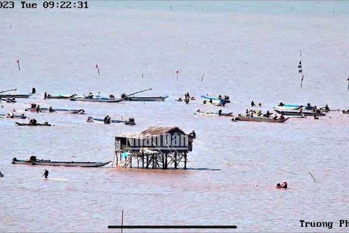 Bảo đảm an ninh, trật tự khu vực xuất hiện nghêu giống ở Cà Mau