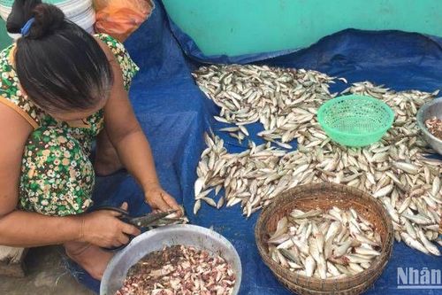 Nhớ món cá linh kho mía