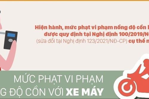 Vi phạm nồng độ cồn 2 lần, Phó Chủ tịch UBND xã ở Cà Mau bị kỷ luật cảnh cáo