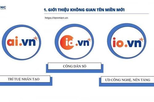 Nhiều tên miền được đăng ký cho thương hiệu cá nhân