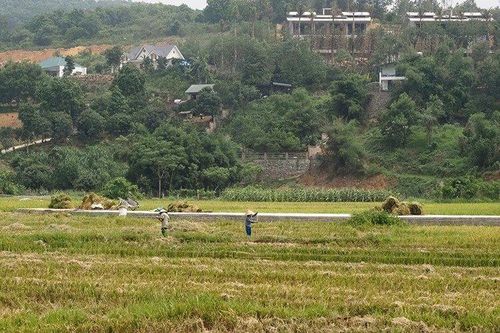 'Bức tường lửa' ở 'vùng lõi' xứ Mường của Thủ đô