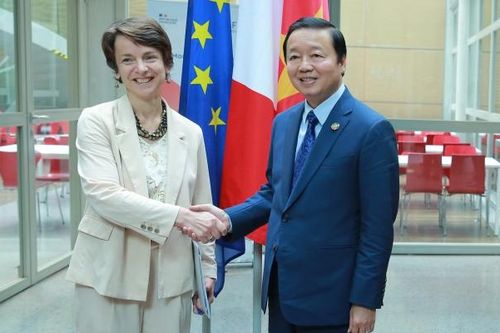 AFD nhất trí hỗ trợ Việt Nam tài chính trong phát triển năng lượng xanh