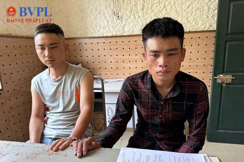 Bắt giữ 2 đối tượng vận chuyển trái phép hơn 700 viên ma túy tổng hợp