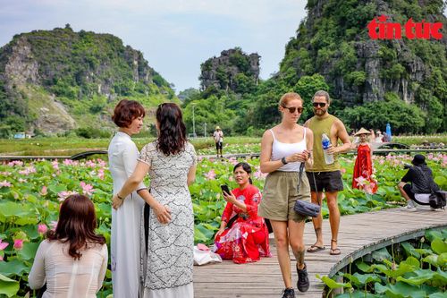 Ảnh 360: Cánh đồng sen bung lụa dưới chân núi Ngọa Long