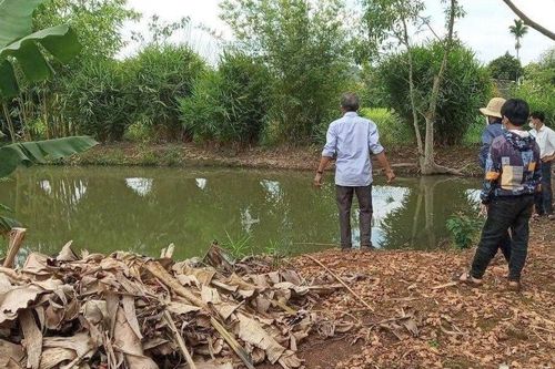 Trong một ngày liên tục có nhiều trường hợp trẻ đuối nước