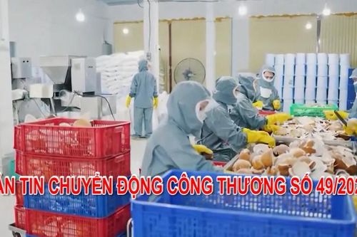 Bản tin Chuyển động Công Thương số 49/2023