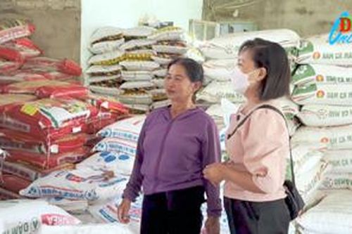 Đảm bảo cung ứng giống, vật tư nông nghiệp cho vụ mùa