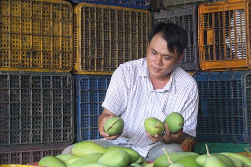 Hoạt động sản xuất ngành nông nghiệp tiếp tục phát triển