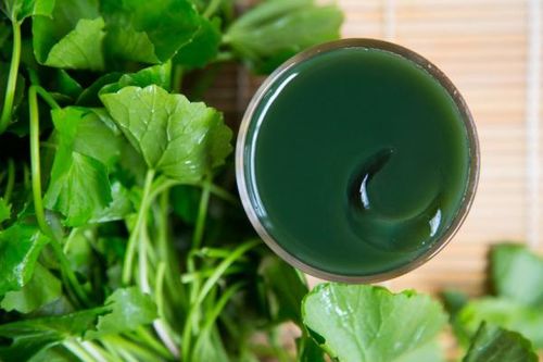 Cách làm đẹp da bằng rau má, vừa giúp thải độc lại chống lão hóa