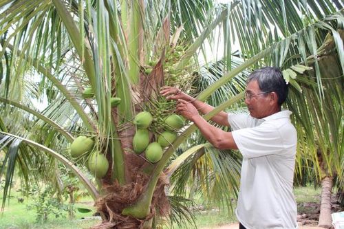Xã Vạn Phú: Điển hình trong xây dựng nông thôn mới nâng cao