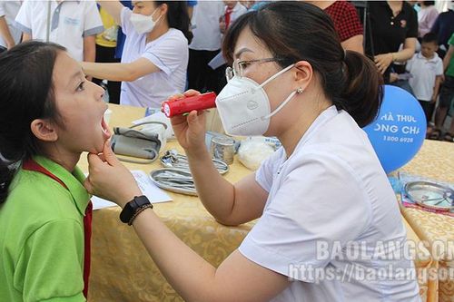 Thanh niên Lạng Sơn: Sôi nổi tình nguyện hè