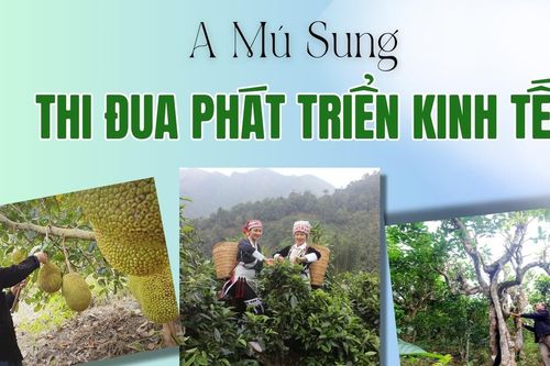 A Mú Sung thi đua phát triển kinh tế