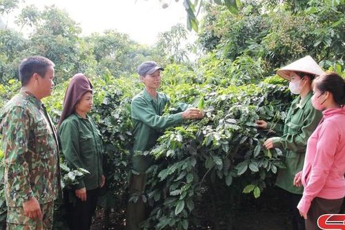Vai trò tiên phong, gương mẫu của cán bộ, đảng viên trong phát triển kinh tế