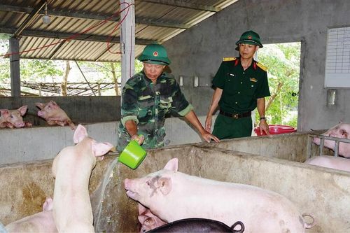 Nhiều mô hình tăng gia sản xuất