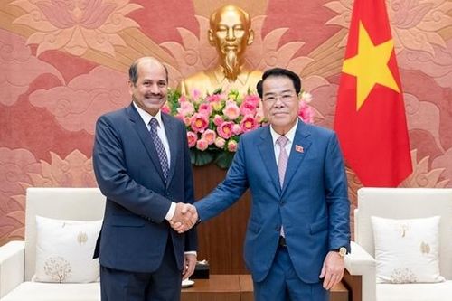 Trưởng Ban Dân nguyện Dương Thanh Bình tiếp Đại sứ Cộng hòa Ấn Độ