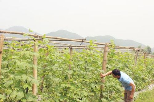 Khởi sắc đời sống đồng bào dân tộc thiểu số huyện Kim Bôi