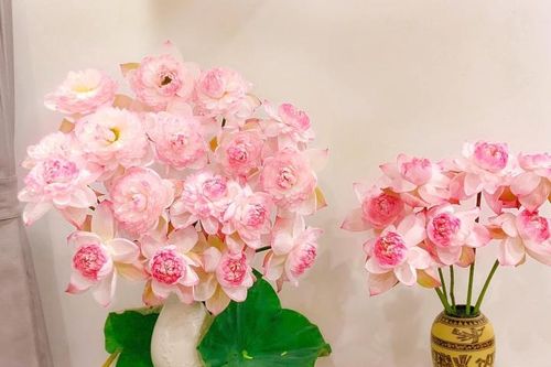 Mê mẩn ngắm các loài sen quý và cách cắm độc đáo của hội chị em đảm đang