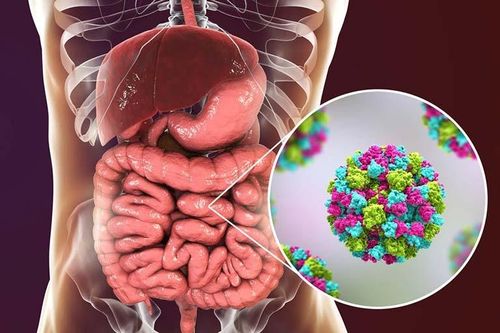 Bùng phát virus gây nôn mửa, tiêu chảy trên tàu du lịch ở Mỹ