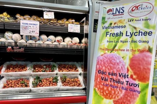 Vải thiều Bắc Giang sang Mỹ giá hơn 750.000 đồng/kg
