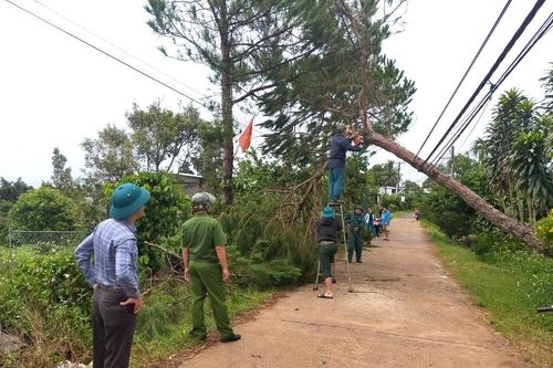 Mưa lớn gây ngập nặng ở Đà Lạt, nhiều nhà dân ở Bảo Lộc bị tốc mái