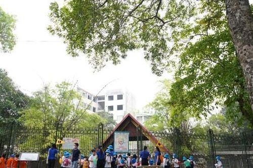 Trường tiểu học Archimedes lên tiếng vụ học sinh bị bỏ quên trên xe đưa đón