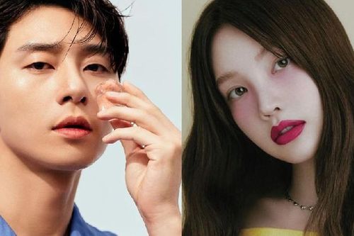 Bạn gái tin đồn của Park Seo Joon nhận bão chỉ trích từ fan cuồng