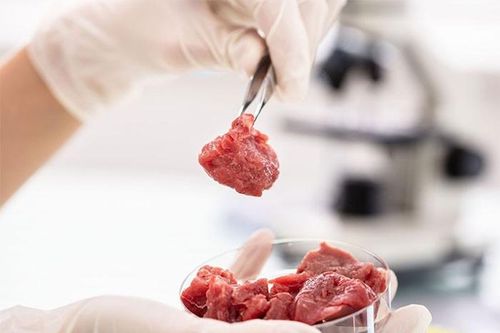 Mỹ cho phép bán thịt gà nuôi cấy trong phòng thí nghiệm