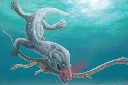 Phát hiện hóa thạch thủy quái biển sâu, giật mình vì sự thật đau đớn