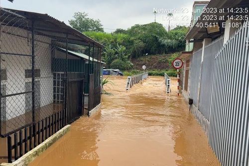 Đà Lạt ngập đường, đổ nhiều cây sau mưa lớn
