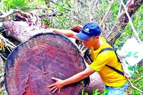 Không muốn bút danh nhạt nhòa