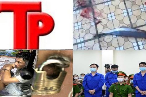 Bản tin Hình sự: Uất ức vì bị nhà xe đuổi việc, tài xế đâm chết 3 người
