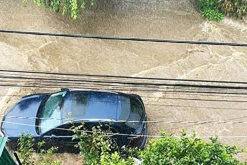 Đà Lạt ngập lụt cục bộ, cây ngã đổ ngổn ngang
