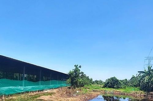 Phát hiện trang trại chăn nuôi chôn ống ngầm xả thải trái phép ra môi trường