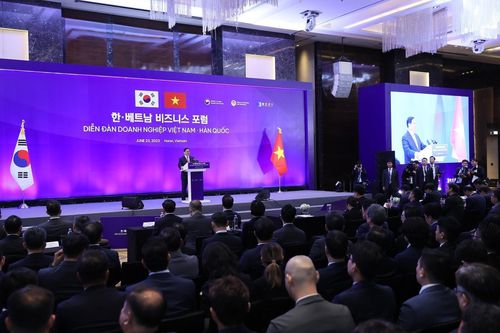 Doanh nghiệp Việt-Hàn trao đổi chiến lược hợp tác trong giai đoạn mới