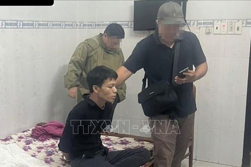 Bắt giữ nhiều đối tượng trộm cắp, cướp giật tại Bình Dương