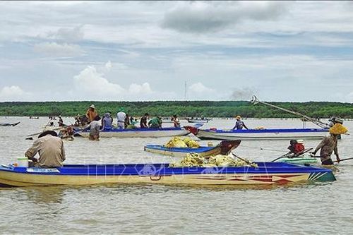 Ổn định an ninh trật tự tại bãi nghêu giống ở xã Đất Mũi
