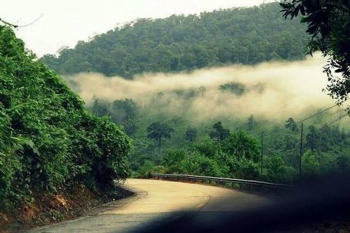 Thơ: Nhớ chái bếp