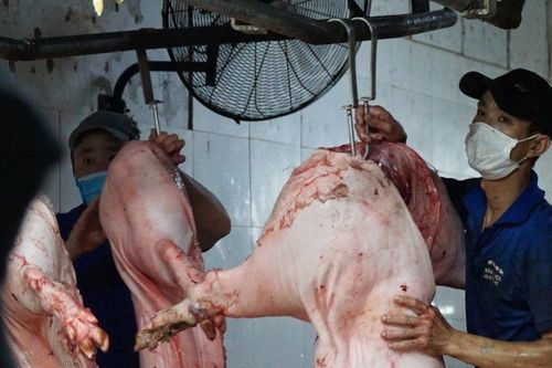 Đà Nẵng: Cử tri đề nghị sớm di dời Trung tâm Chế biến gia súc, gia cầm vì ô nhiễm