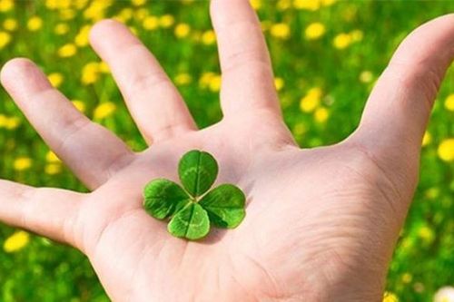 Phong thủy tốt hay xấu là do tâm người, người có phúc thì ở nơi nào cũng là phúc địa