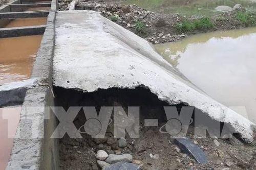 Đề xuất cắt giảm chi phí quản lý với tổ chức thủy lợi để xảy ra vi phạm