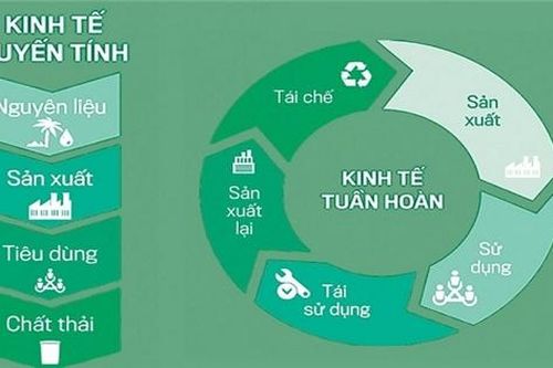 Hiểu đúng về kinh tế tuần hoàn
