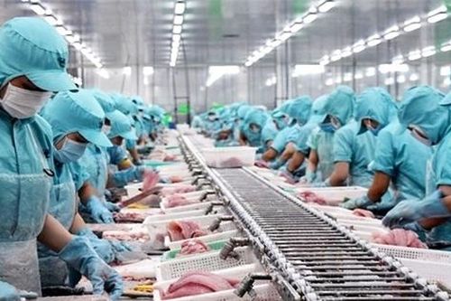 Ngành thủy sản khó phục hồi trong nửa cuối năm