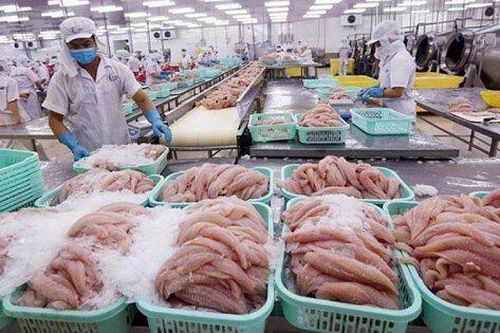 Xuất khẩu cá tra chờ thời hồi phục: Dự báo lợi nhuận Vĩnh Hoàn, Nam Việt năm nay tăng trưởng âm