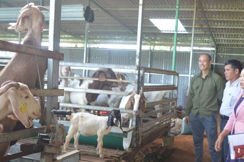 Ia Grai nâng cao chất lượng tổ chức cơ sở Đảng và đảng viên