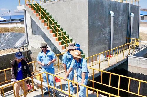 Ngành chăn nuôi 'gạn đục khơi trong' để phát triển bền vững - Kỳ cuối: Liên kết sản xuất gắn với đầu tư xây dựng nhà máy chế biến