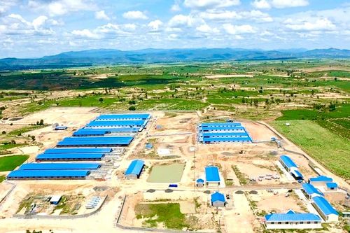 Chấp thuận chủ trương đầu tư dự án chăn nuôi 40.000 con heo thịt/năm