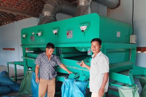 Hỗ trợ tuyển dụng cán bộ trẻ tốt nghiệp cao đẳng, đại học về làm việc tại hợp tác xã