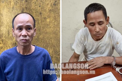 Công an huyện Hữu Lũng khởi tố 2 đối tượng mua bán, tàng trữ trái phép chất ma túy