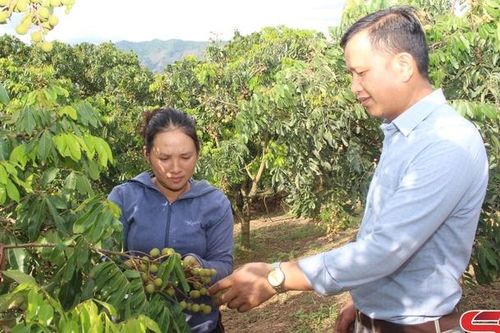 Đảng bộ xã Chiềng Khương lãnh đạo phát triển kinh tế